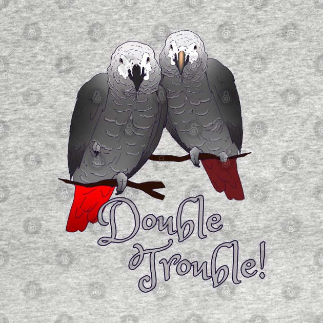 Congo and Timneh African Grey Parrot DoubleTrouble by Einstein Parrot